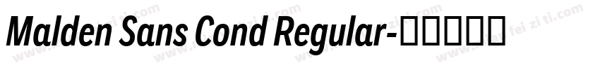 Malden Sans Cond Regular字体转换
